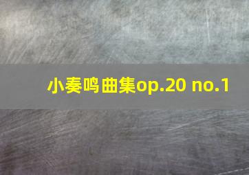 小奏鸣曲集op.20 no.1